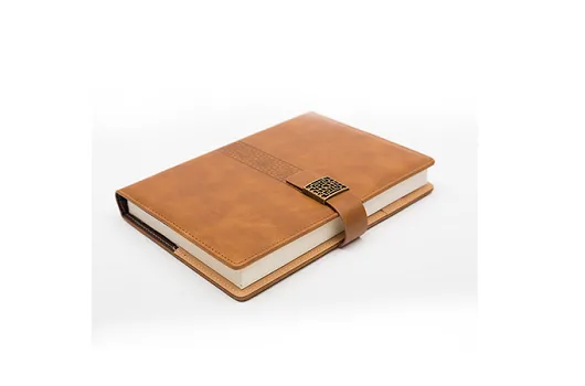 Viva Mosaic diary