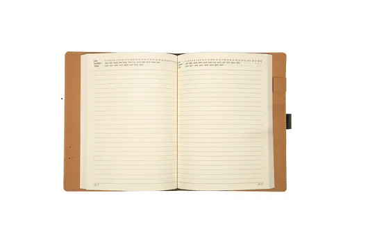 Viva Mosaic diary