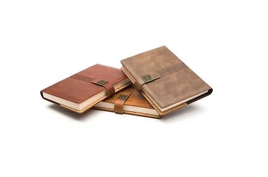 Viva Mosaic diary