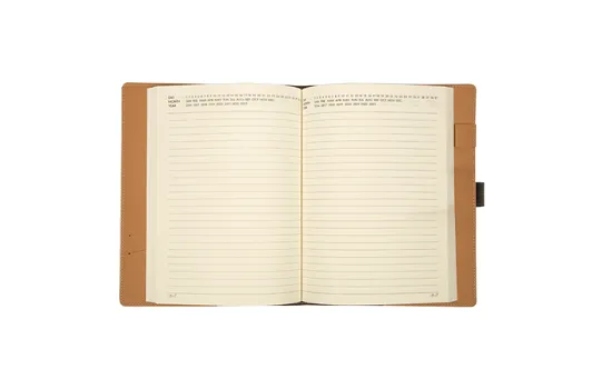 Viva Mosaic diary camel
