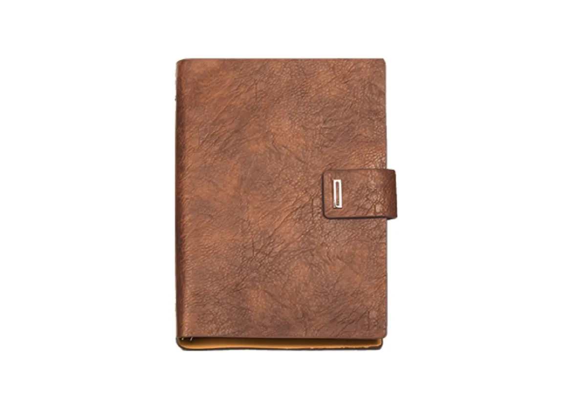 Viva Icon Ringbinder ( TAN )