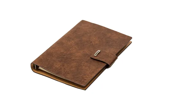 Viva Icon Ringbinder ( TAN )
