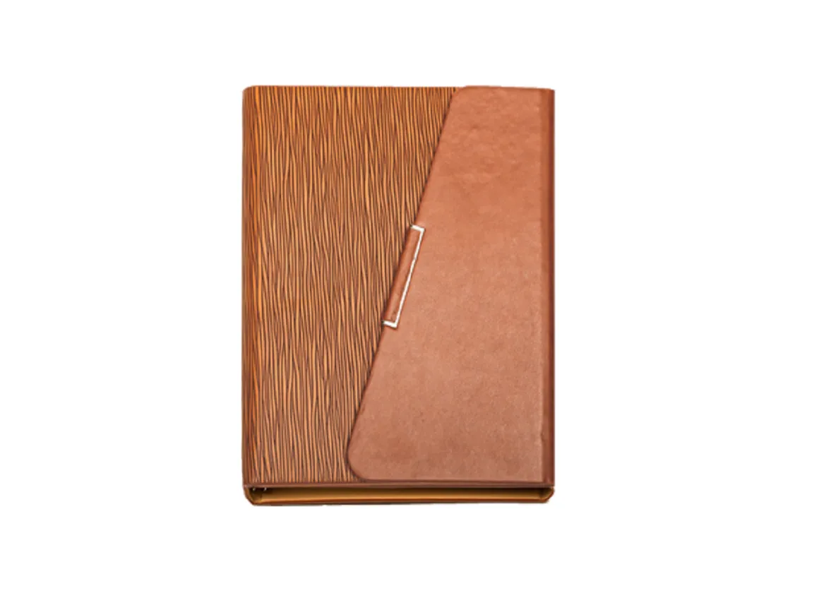 Viva Sail Ringbinder ( TAN )