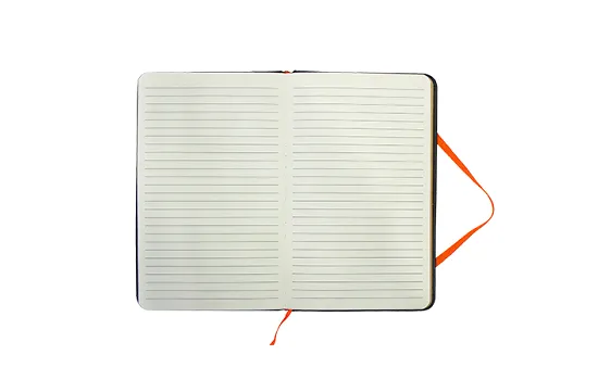 H2O+(Plus) Journal