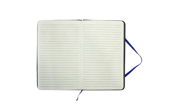 H2O+(Plus) Journal BLUE