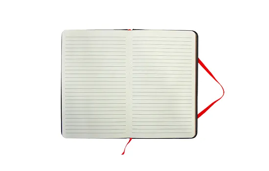 H2O+(Plus) Journal Red