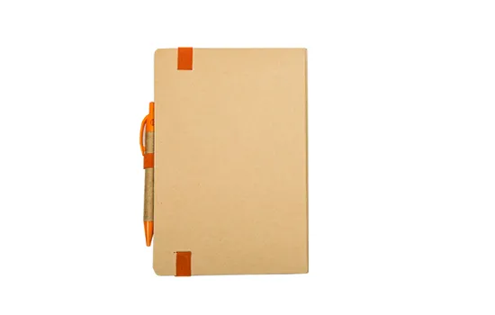 Eco Journal orange