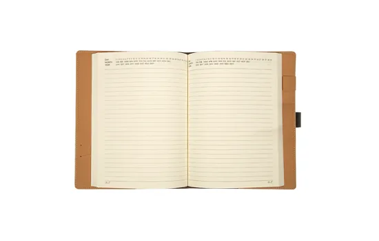 Viva Motif Portfolio Diary