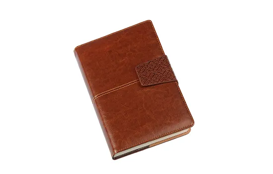 Viva Motif Portfolio Diary