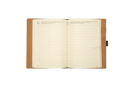 Viva Sense Portfolio Diary