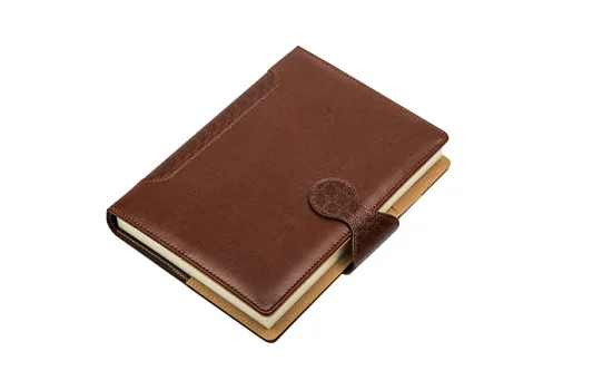 Viva Sense Portfolio Diary
