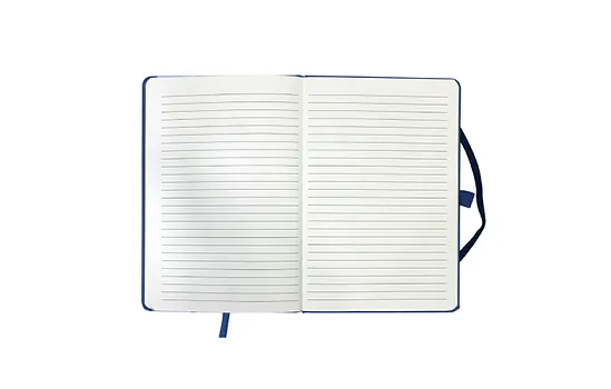 Vio Journal blue