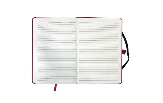 Vio Journal Red