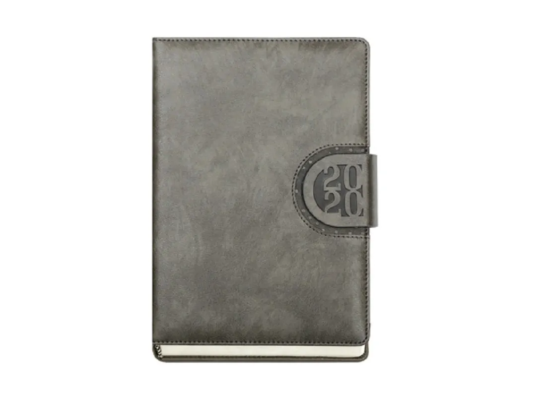 Dome Diary (2020 ) GREY