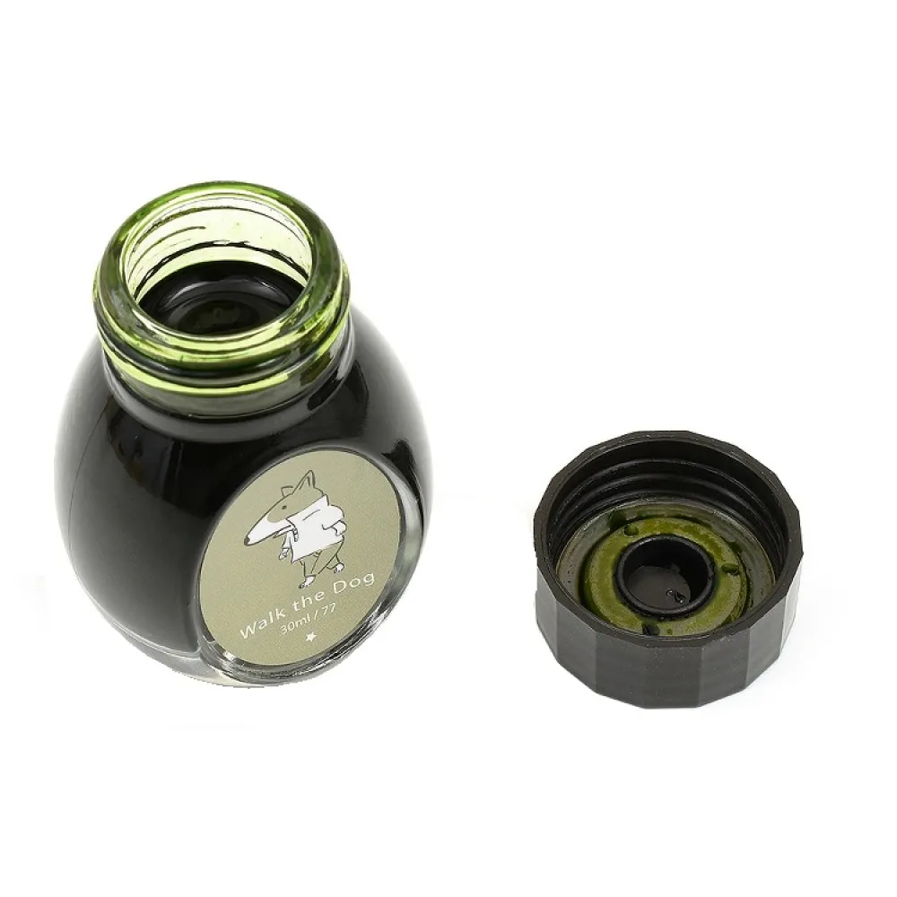 Colorverse 30ml Fountain Pen Ink Bottle - Light Green Ink - Walk The Dog - Joy In The Ordinary Series Dye Based , Water Resistant, Non Toxic, Made In Korea