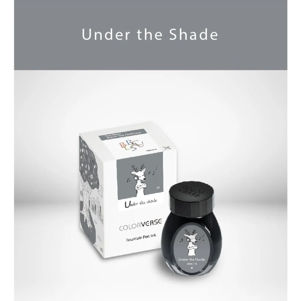 Colorverse 30ml Gray Ink - Fountain Pen Ink Bottle - Under The Shade - Joy In The Ordinary Series Dye Based, Water Resistant, Non Toxic, Made In Korea
