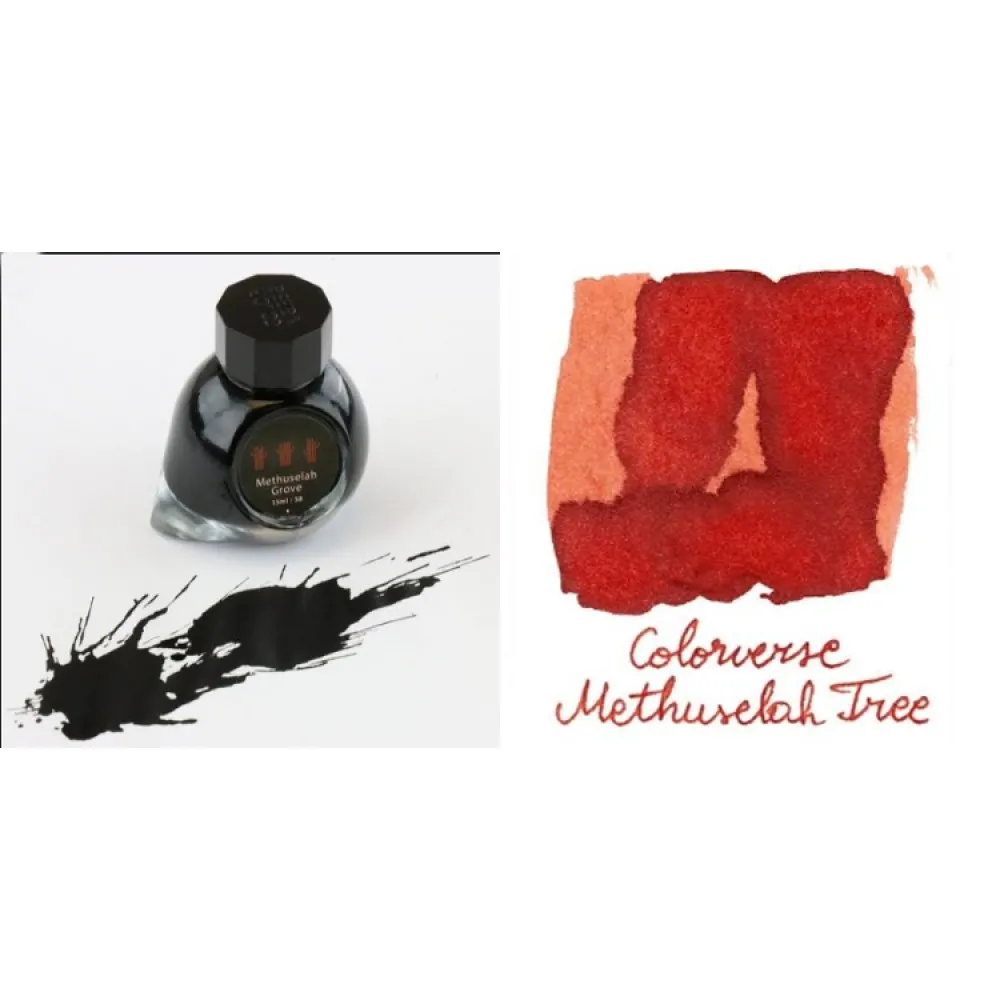 Colorverse Methuselah Tree - Light Brown - Methuselah Grove - Dark Brown - Fountain Pen Ink 57 - 58 Earth Edition, 65ml - 15ml - 2 Bottle Set, Dye-Based, Nontoxic, Made In Korea
