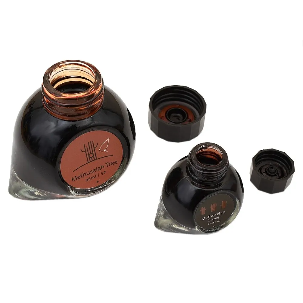 Colorverse Methuselah Tree - Light Brown - Methuselah Grove - Dark Brown - Fountain Pen Ink 57 - 58 Earth Edition, 65ml - 15ml - 2 Bottle Set, Dye-Based, Nontoxic, Made In Korea