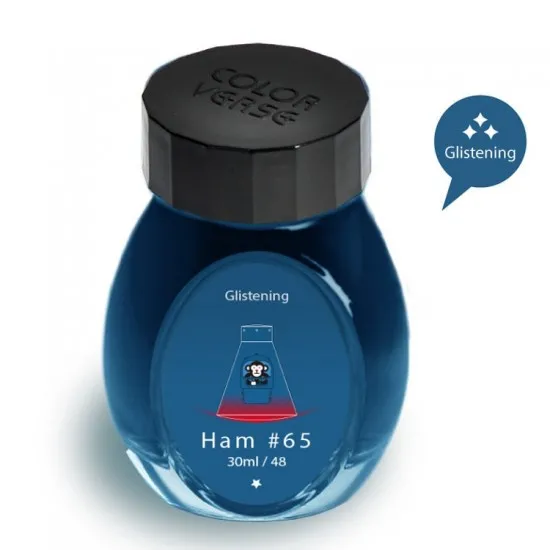 Colorverse Traiblazer In Space Ham65 Glistening Series Under The Shade – Dark Blue Ink 30ml Fountain Pen Ink Bottle Dye Based including Glistening Pigment, Nontoxic, Made in Korea