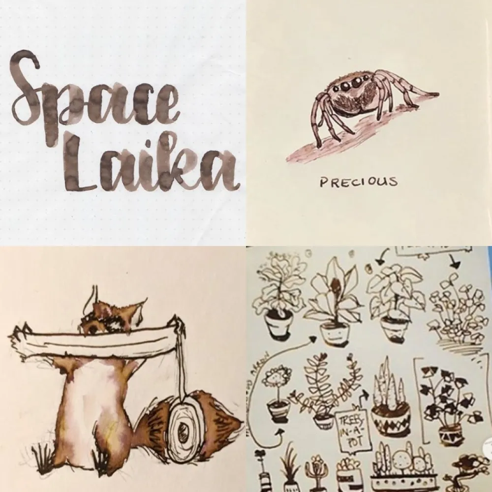 Colorverse Space Laika - Dark Brown - Fountain Pen Ink 06 Spaceward Series, Season 1, 65ml - 15ml - 2 Bottle Set, Dye-Based, Nontoxic, Made In Korea
