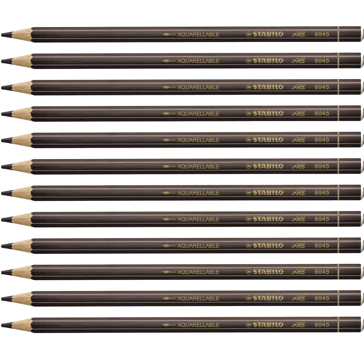 STABILO 8045 All Coloured Pencil Crayons For Almost All Surfaces, 3.3 Mm, Brown, Pack Of 12