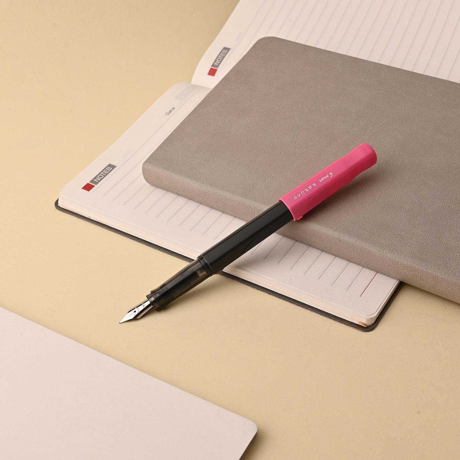 Pilot | KAKUNO | Stainless Steel | Fountain Pen | Pink & Grey| Broad