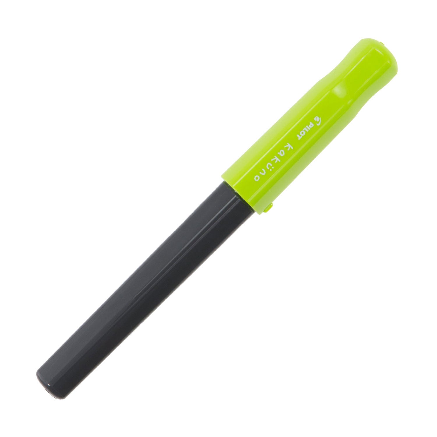 Pilot | KAKUNO | Stainless Steel | Fountain Pen | Light Green & Grey | Broad