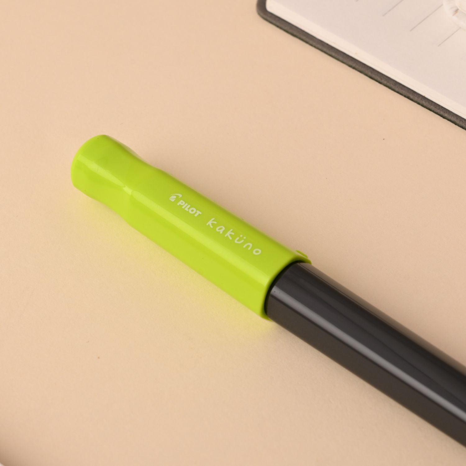 Pilot | KAKUNO | Stainless Steel | Fountain Pen | Light Green & Grey | Medium