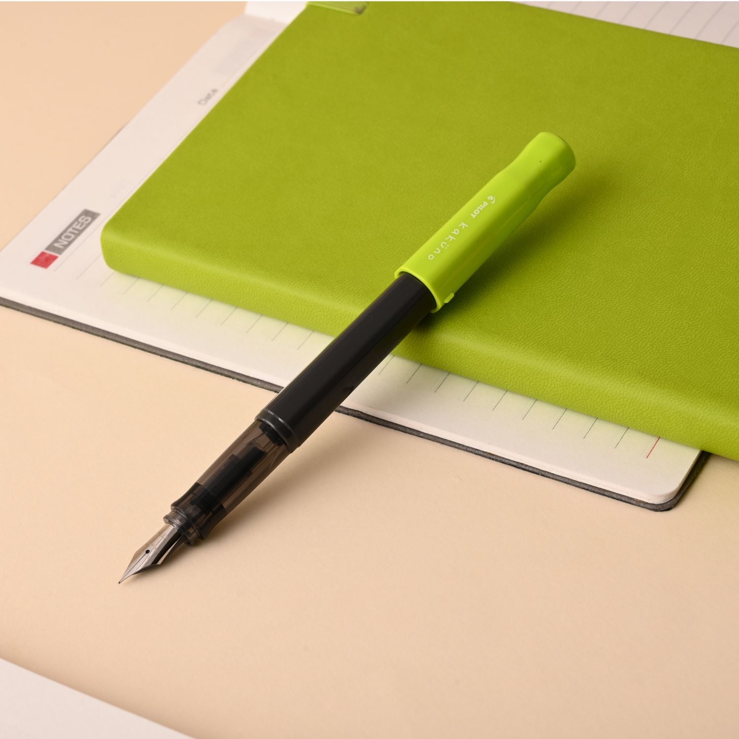 Pilot | KAKUNO | Stainless Steel | Fountain Pen | Light Green & Grey | Medium