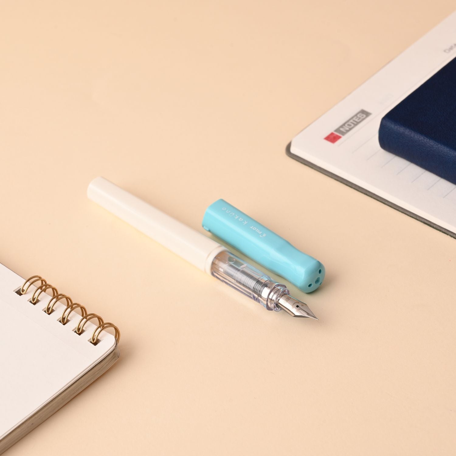 Pilot | KAKUNO | Stainless Steel | Fountain Pen | Soft Blue & White | Medium