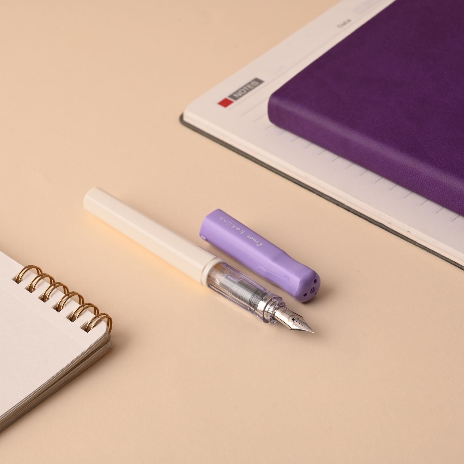 Pilot | KAKUNO | Stainless Steel | Fountain Pen | Soft Violet & White | Medium