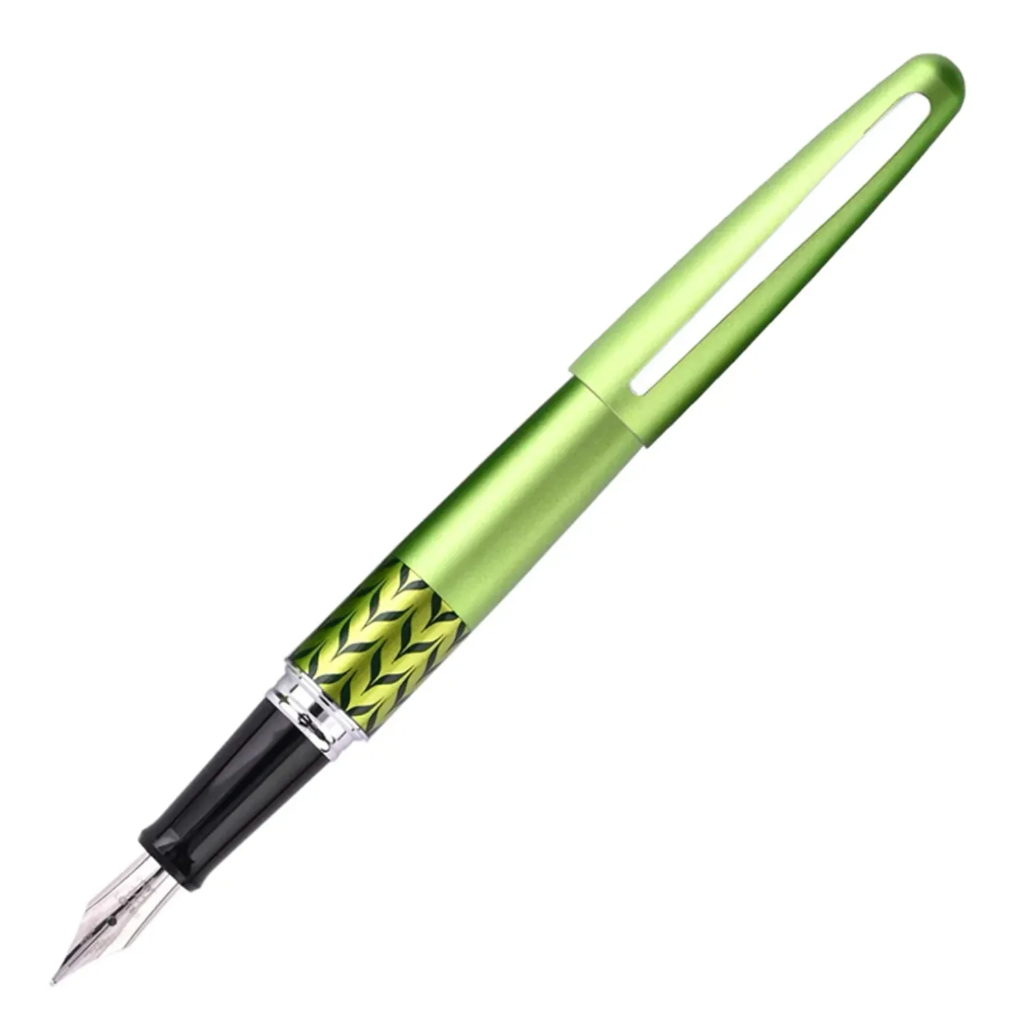Pilot | MR RETRO POP COLLECTION | Stainless Steel | Fountain Pen | Marble| Fine