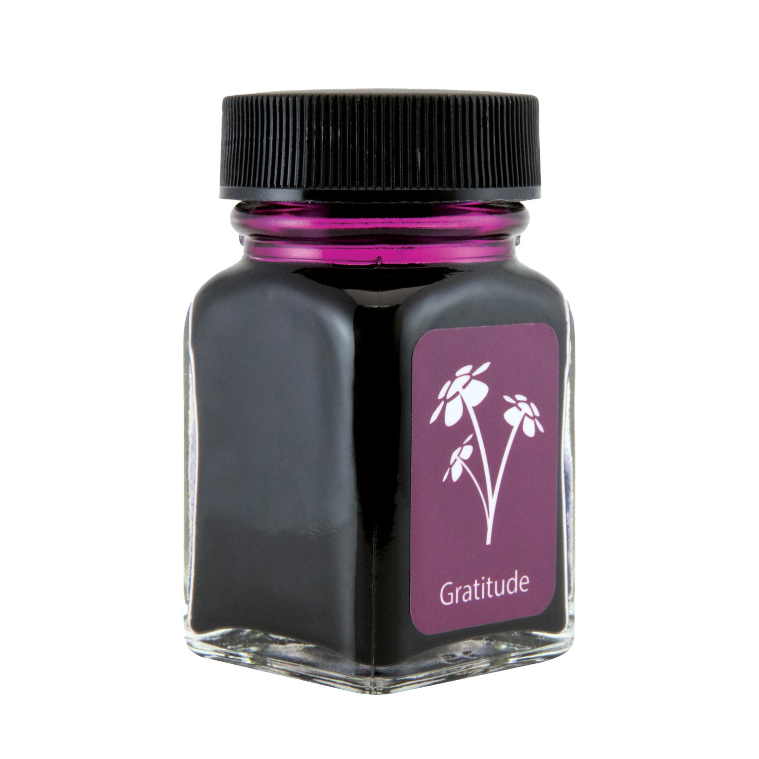 Monteverede Emotion Ink Bottle, Gratitude Magenta - 30ml