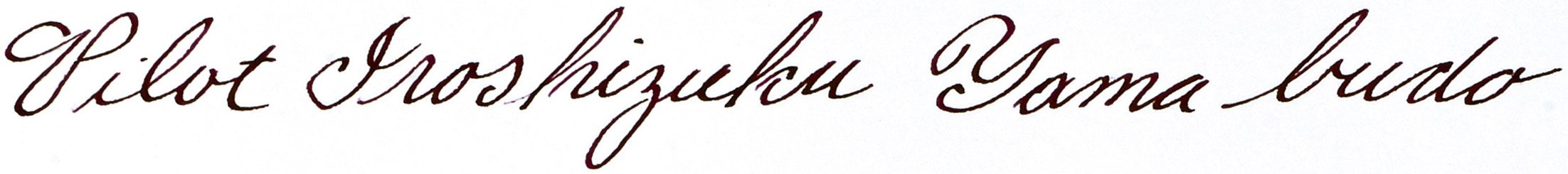 Pilot |IROSHIZUKU | Bottled ink for fountain pen | Crimson Glory Wine