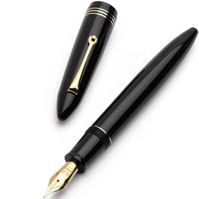 Leonardo Furore Notte Fountain Pen - Black GT B