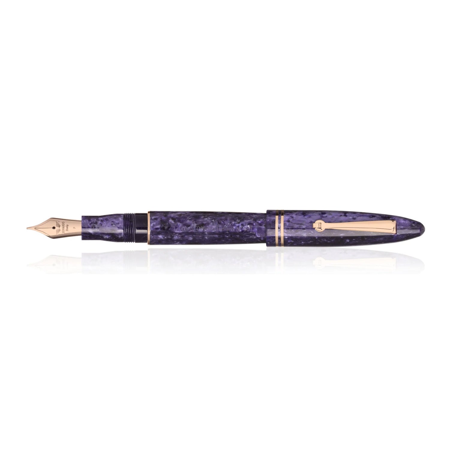Leonardo Furore Fountain Pen - Purple RGT EF