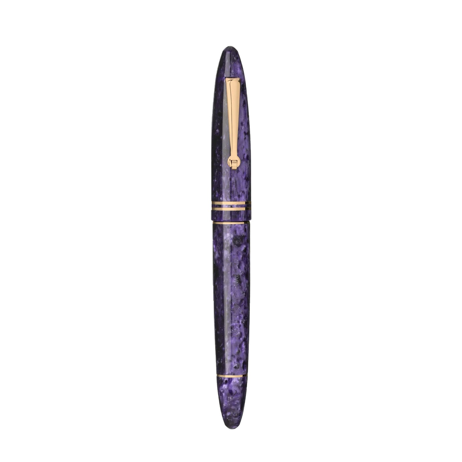 Leonardo Furore Fountain Pen - Purple RGT EF