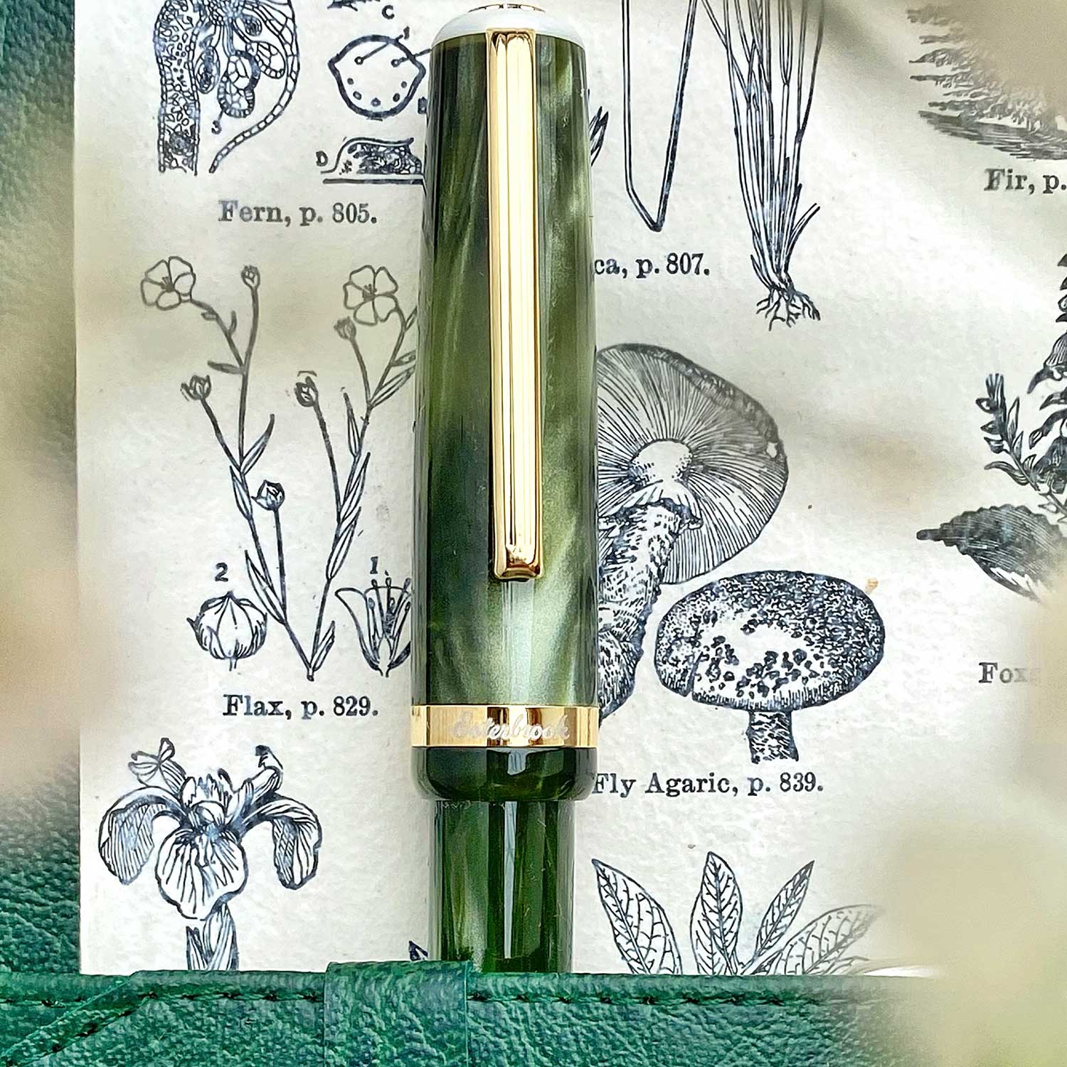 Esterbrook JR Pocket Fountain Pen - Palm Green GT Fine