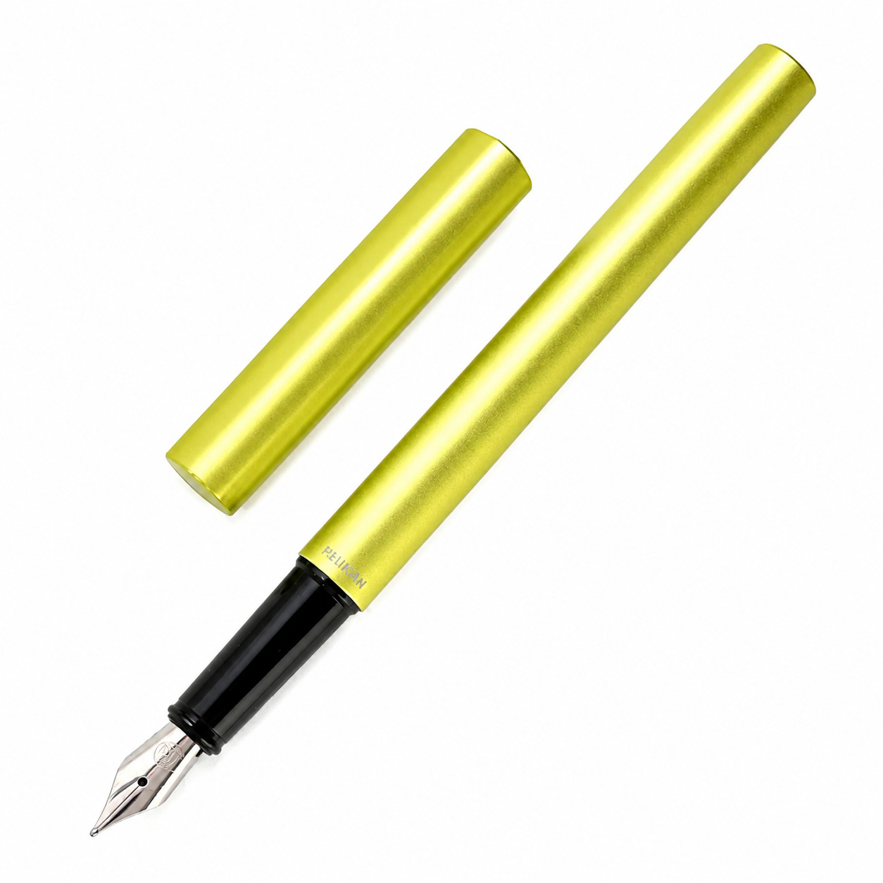 Pelikan Ineo Fountain Pen - Green Oasis Medium