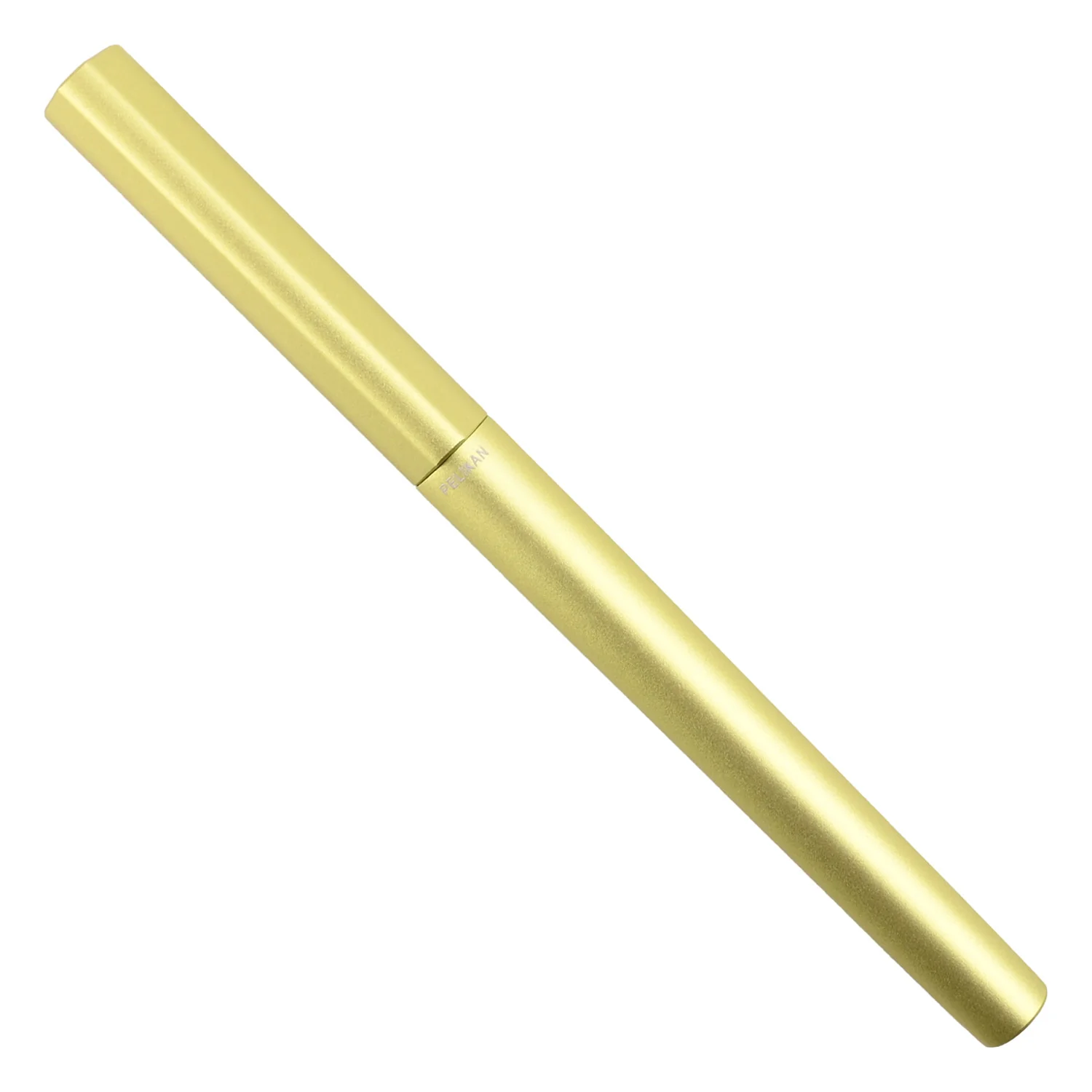 Pelikan Ineo Fountain Pen - Green Oasis Medium