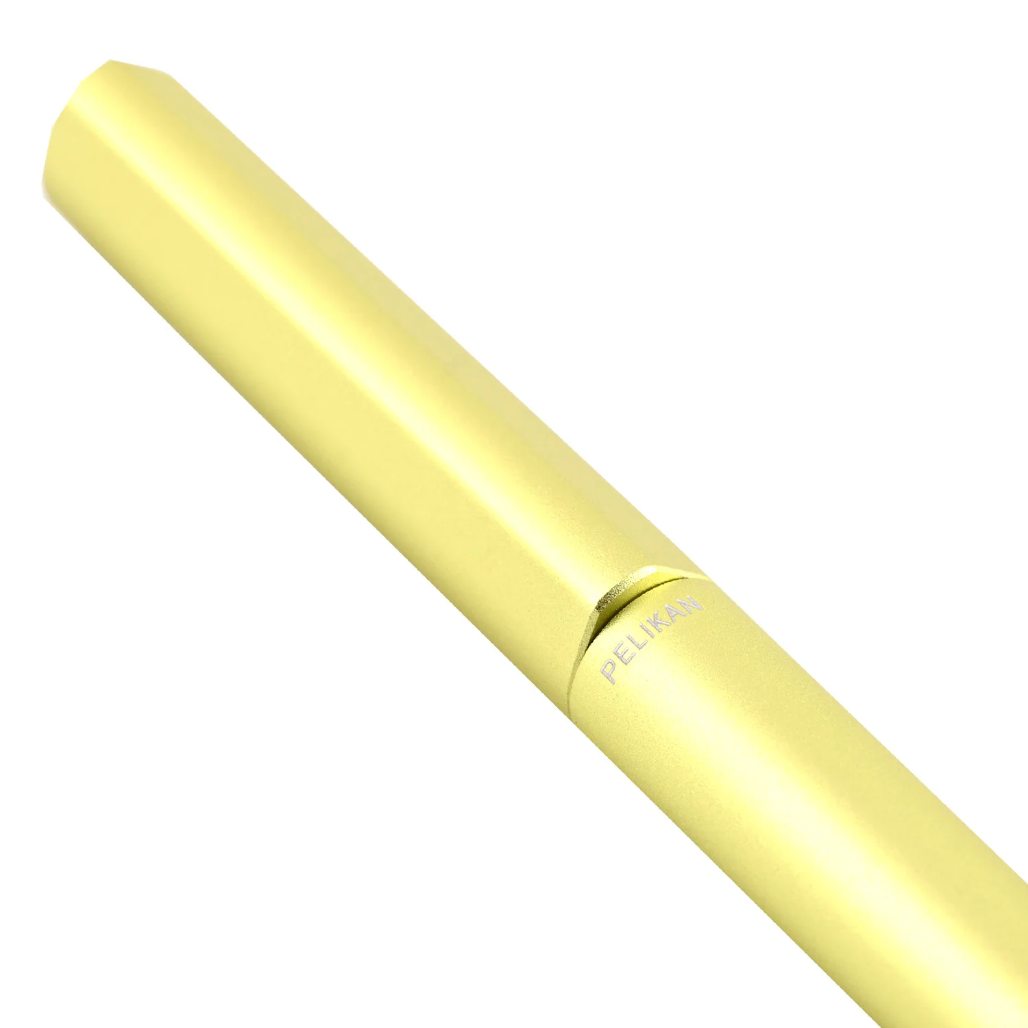 Pelikan Ineo Fountain Pen - Green Oasis Medium